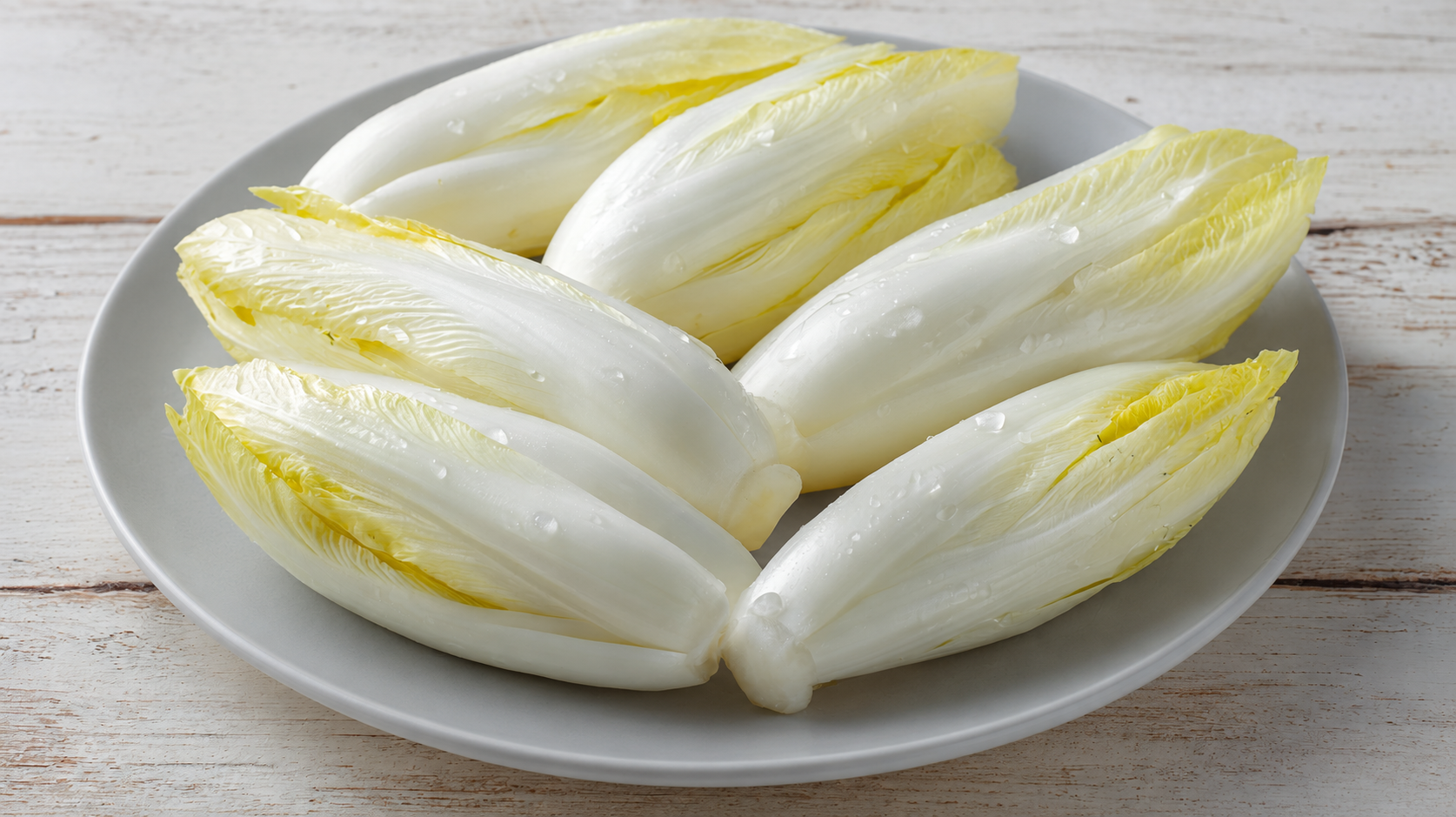 Cykoria – właściwości, na co pomaga, inulina i błonnik